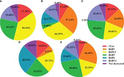 Detection of Candidatus Liberibacter asiaticus and five viruses in individual Asian citrus psyllid in China